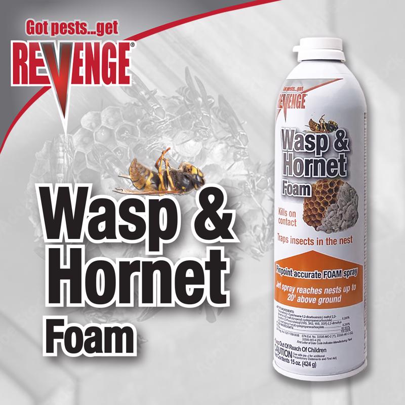 Bonide REVENGE Wasp and Hornet Killer Foam 15 oz, Pack of 12