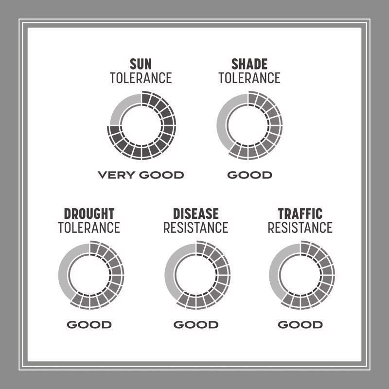 Pennington Contractors Mix Sun or Shade Grass Seed 7 lb