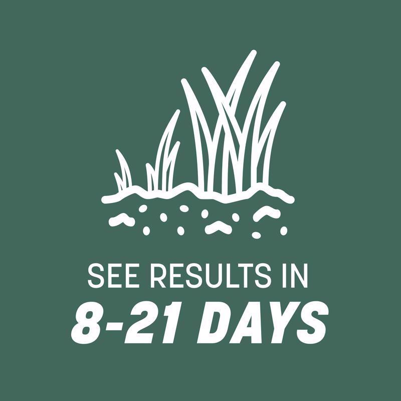 Pennington Kentucky 31 Tall Fescue Grass Sun or Shade Grass Seed 40 lb