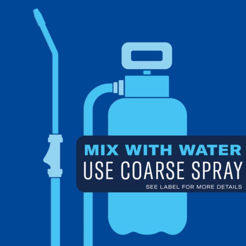 BioAdvanced 365 Weed and Grass Killer Concentrate 28 oz, Pack of 8