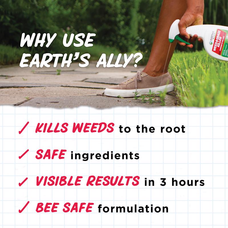 Earth's Ally Weed & Grass Killer Weed and Grass Killer RTU Liquid 1 gal, Pack of 4