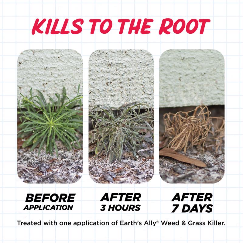 Earth's Ally Weed & Grass Killer Weed and Grass Killer RTU Liquid 1 gal, Pack of 4