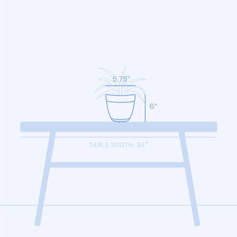 Bloem Dayton 6 in. D Plastic Planter Coral