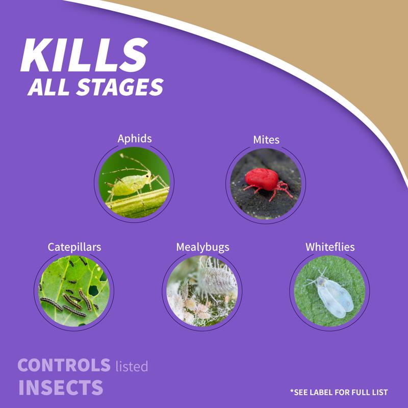 Bonide Captain Jack Organic Disease and Insect Control Liquid 32 oz