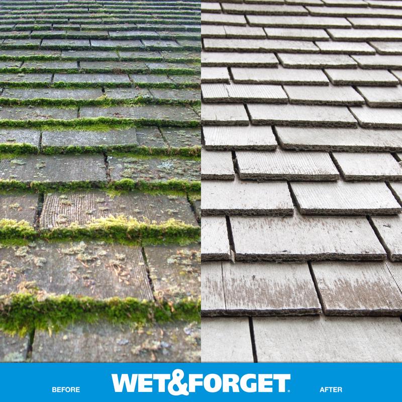 Wet & Forget Xtreme Reach Mold and Mildew Stain Remover 48 fl. oz., Pack of 4