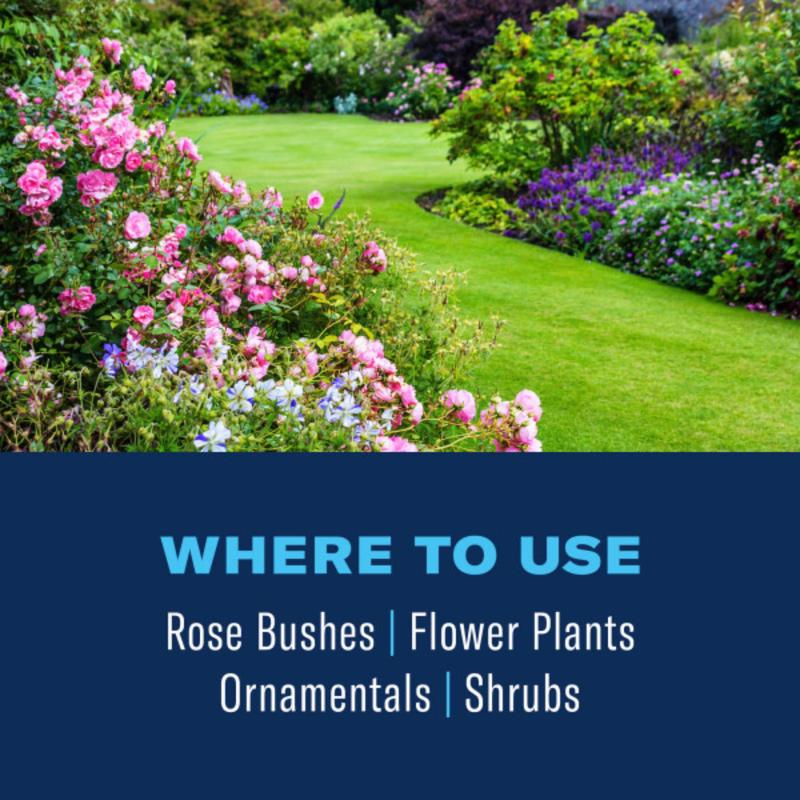 BioAdvanced 3-in-1 Insect Disease & Mite Control Concentrate 32 fl. oz.