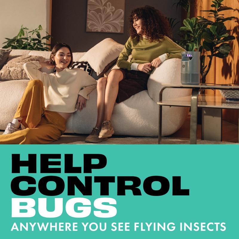 STEM Flying Insect Trap