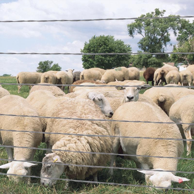 FarmGard 0.099 in. H X 1320 ft. L Galvanized Steel Field Fencing Silver