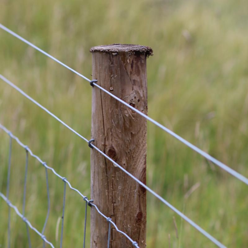 FarmGard 0.0453 in. H X 1320 ft. L Galvanized Steel Electric Fencing Silver