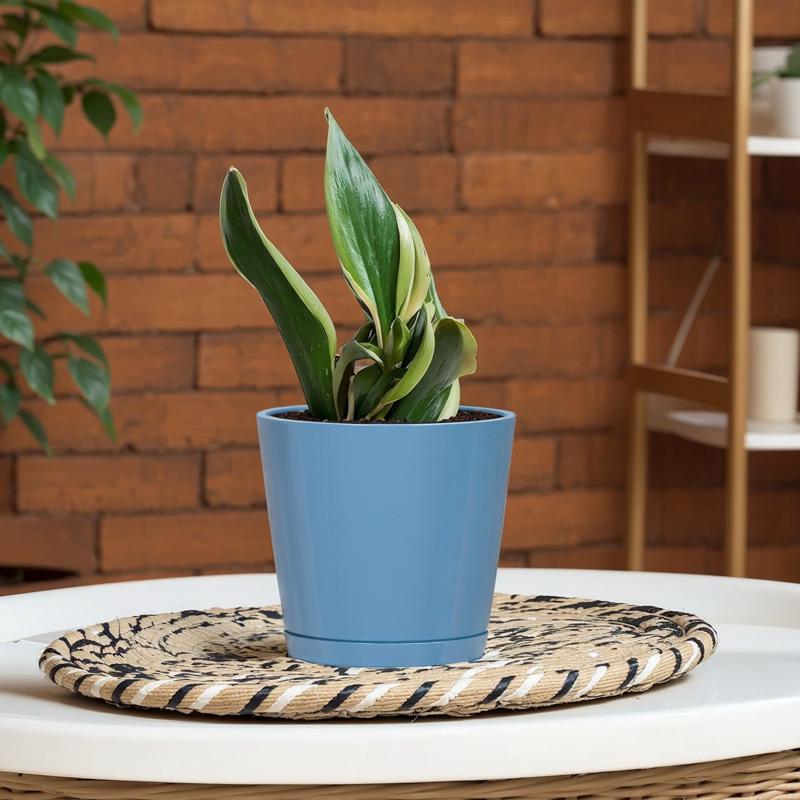 L&G 5.7 in. H X 6 in. W X 6 in. D X 6 in. D Resin Planter Blue