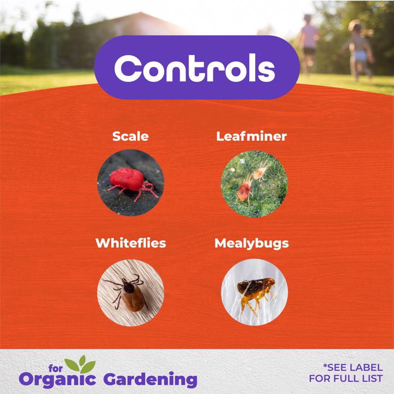 Bonide Sulfur Organic Concentrated Dust Fungicide 4 lb