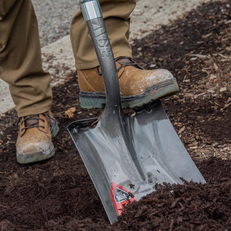 Ace 40 in. Steel Square Transfer Shovel Fiberglass Handle, Pack of 6