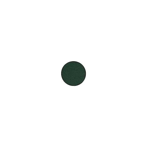 8″ Green Corp Hookit Disc 80G