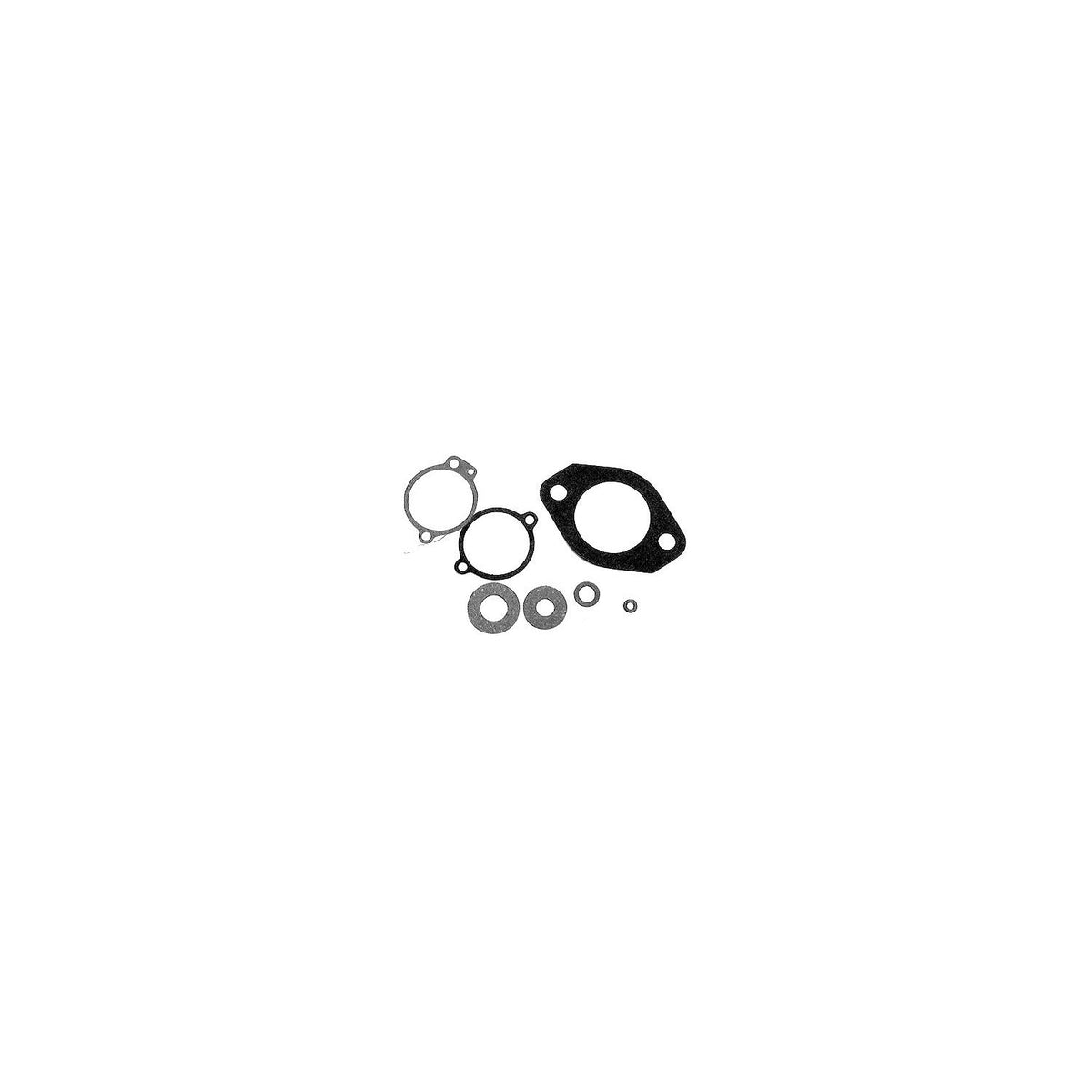 Carburetor Gasket Kit