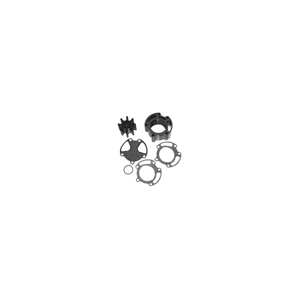 Body/Impeller Kit