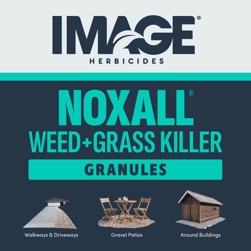 IMAGE 100502581 Noxall Vegetation Killer, Granular, Brown/White, 10 lb Bag