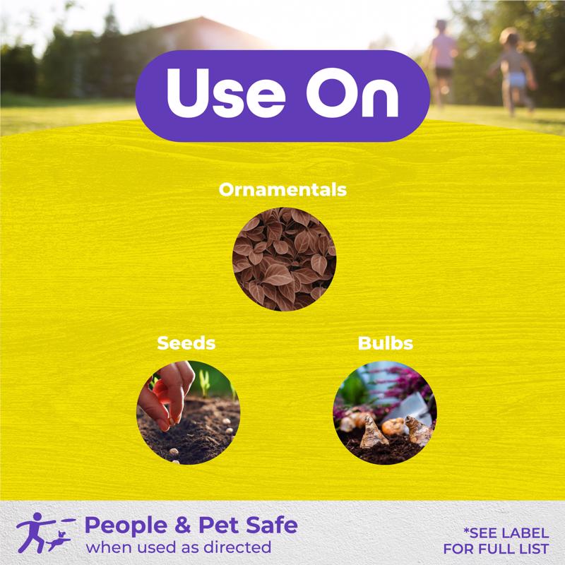 Bonide MoleMax Animal Repellent Granules For Moles and Voles 10 lb