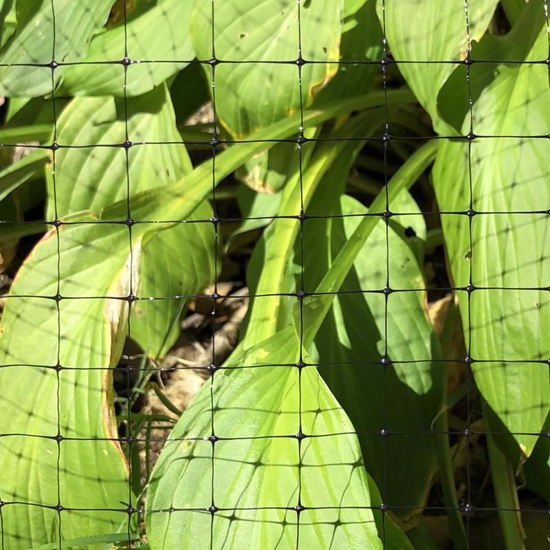 Garden Craft 84 in. H X 100 ft. L Plastic Netting .75 in in.