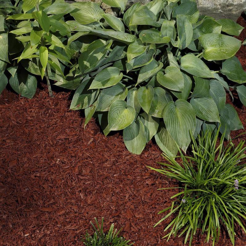 Ground Smart Red Shredded Rubber Mulch 0.8 cu ft