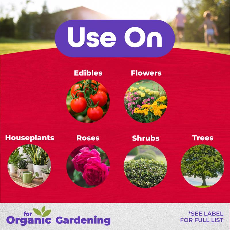 Bonide 897 Insecticide/Miticide/Fungicide, Liquid, Spray Application, 1 qt Bottle