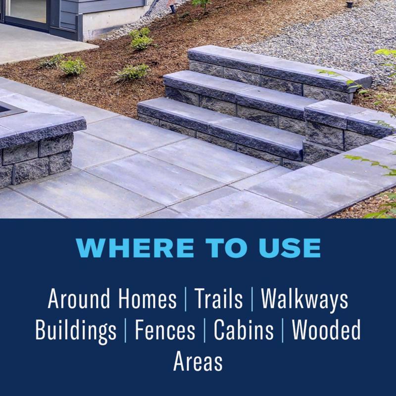 BioAdvanced Brush Killer Concentrate 32 oz