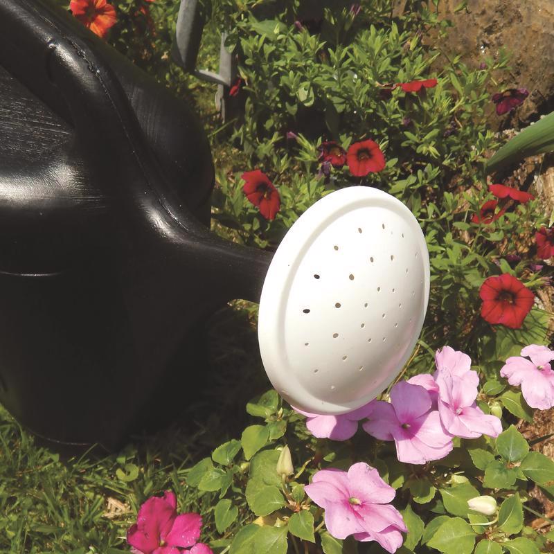 Ace Black 2 gal Plastic Watering Can