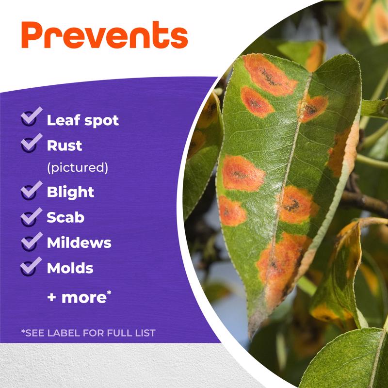 Bonide Fung-Onil Liquid Fungicide 32 oz