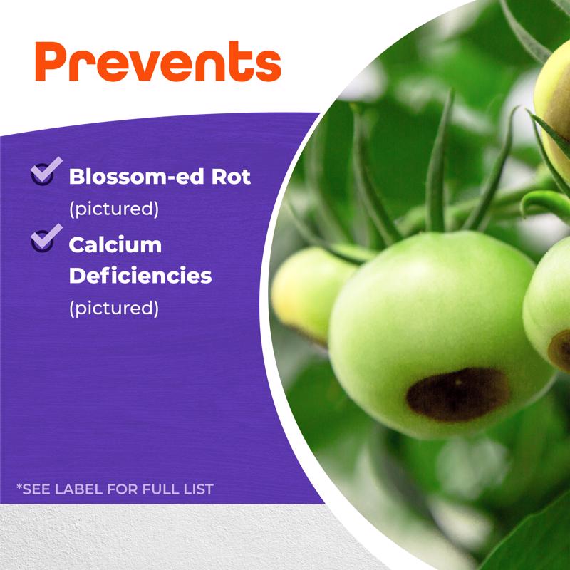 Bonide Rot-Stop Liquid Plant Food 32 oz