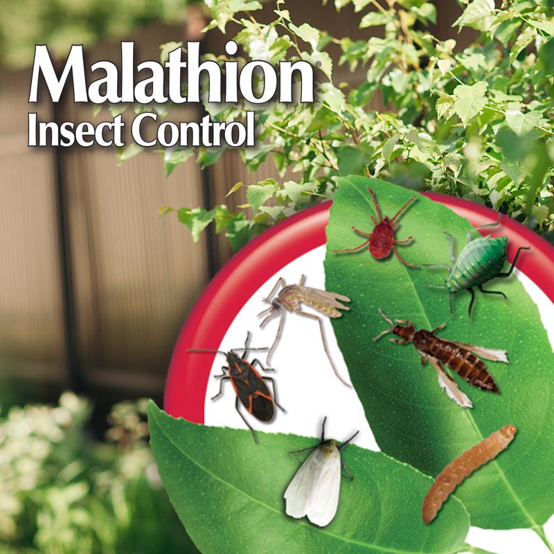 Bonide Malathion 992 Insect Control, Liquid, Spray Application, 1 pt Bottle