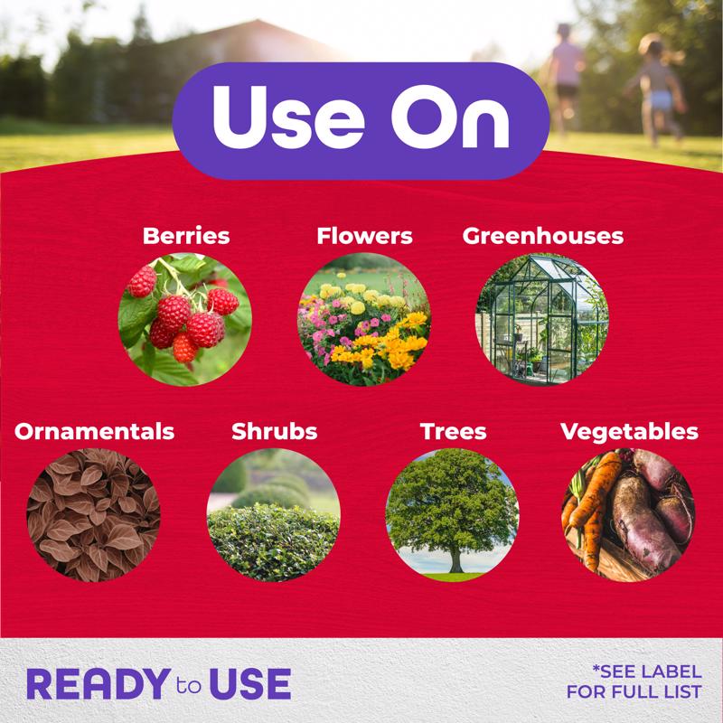 Bonide 652 Insecticidal Soap, Liquid, Spray Application, 1 qt Bottle