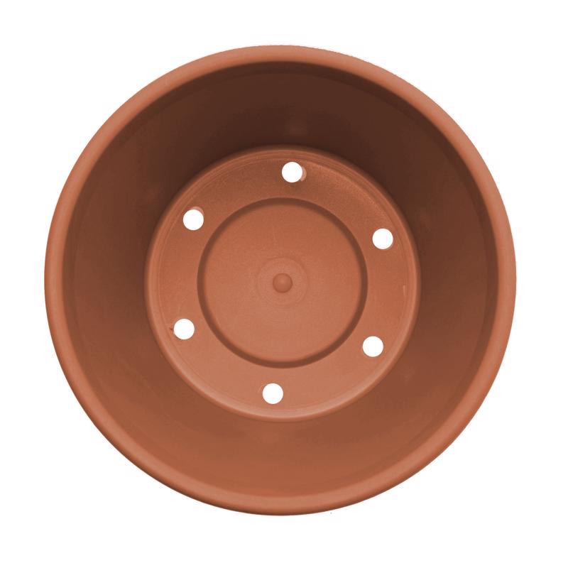 Bloem Terra 7.25 in. H X 8.75 in. W Resin Traditional Planter Terracotta Clay