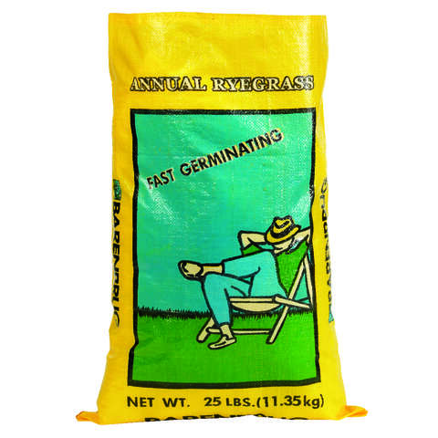 Barenbrug Annual Ryegrass Partial Shade/Sun Grass Seed 25 lb