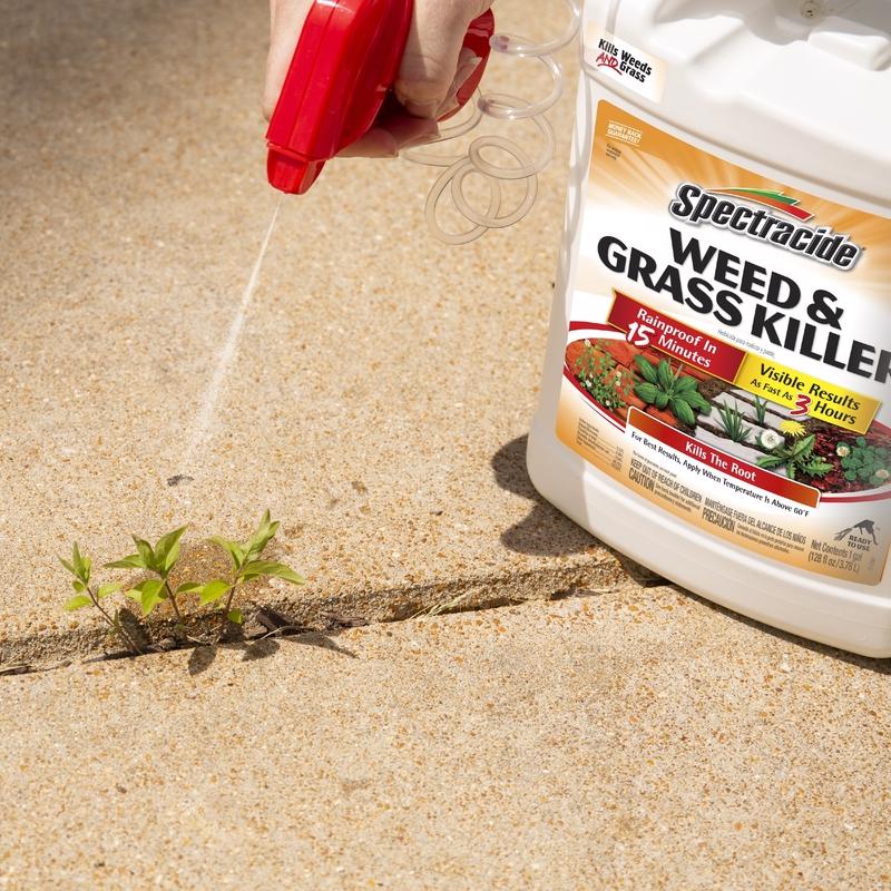 Spectracide Weed and Grass Killer RTU Liquid 1 gal, Pack of 4