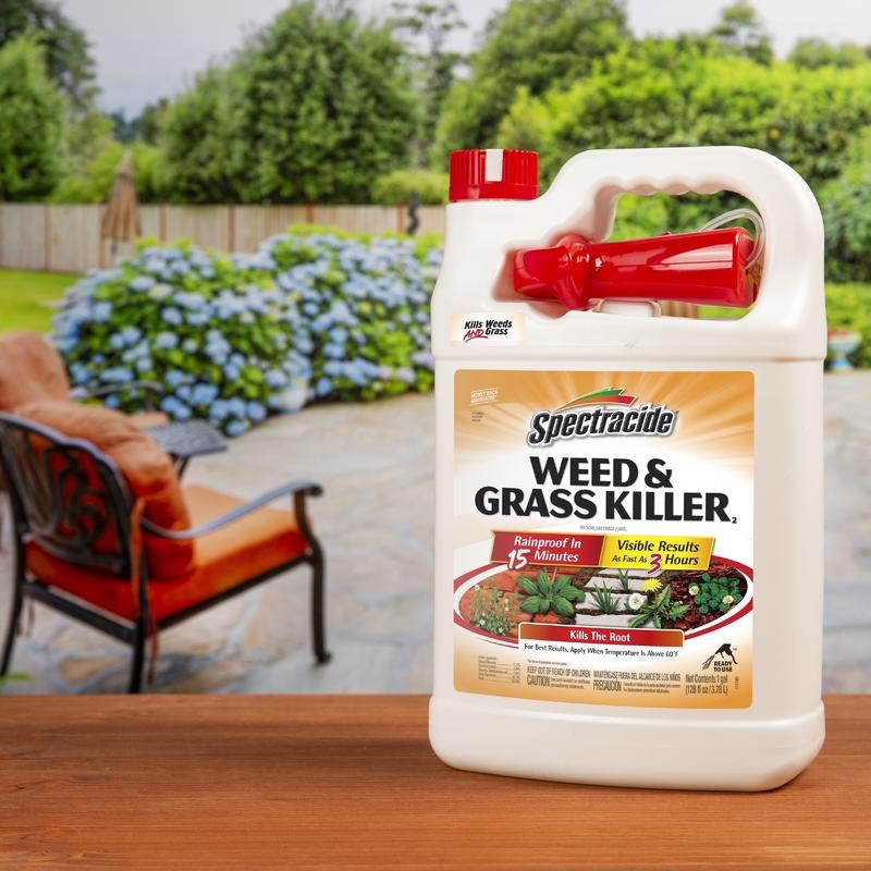 Spectracide Weed and Grass Killer RTU Liquid 1 gal, Pack of 4