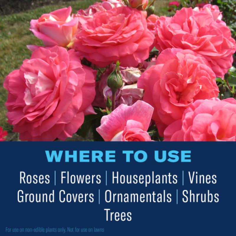 BioAdvanced 3-in-1, Ready-to-Use Insect Disease & Mite Control Spray 24 oz