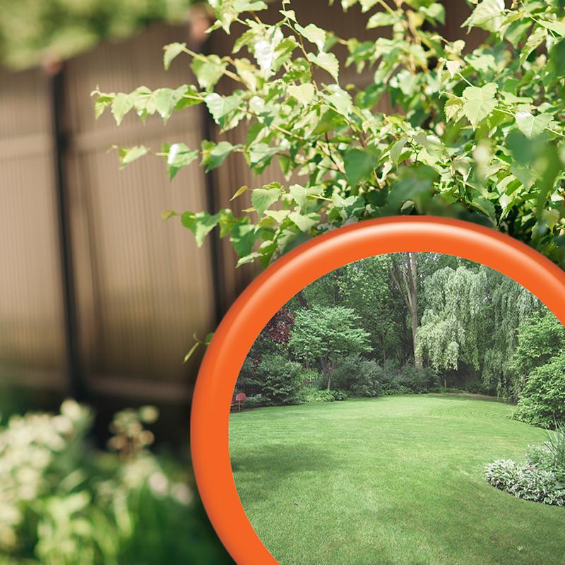 Bonide Mosquito Beater Insect Killer Liquid 32 oz