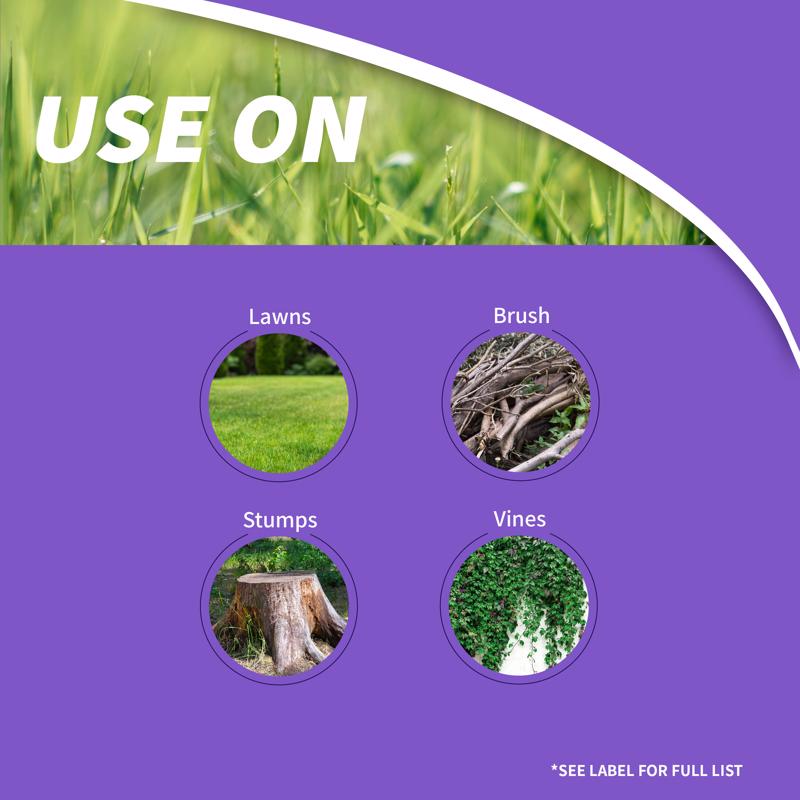 Bonide Brush Beater Brush Killer Concentrate 16 oz