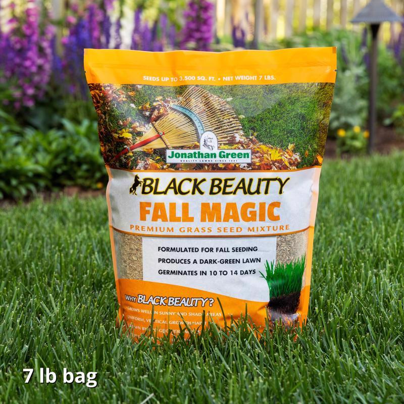 Jonathan Green Black Beauty Fall Magic All Grasses Sun or Shade Grass Seed 7 lb
