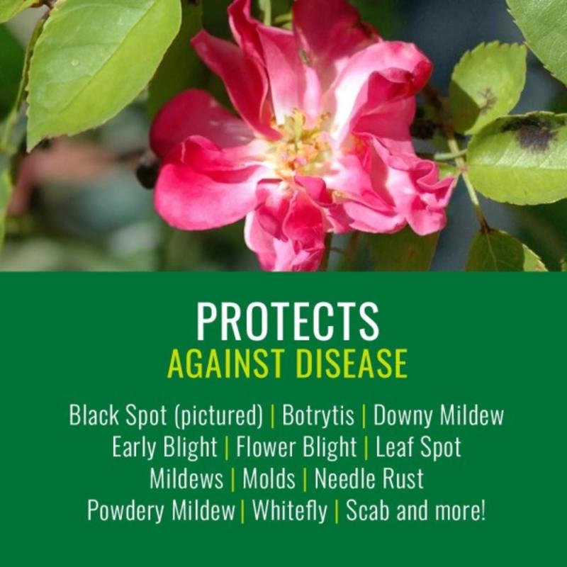 NATRIA Organic Neem Oil Concentrate 24 oz