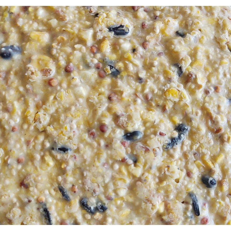 Heath DDC3-12 Sunflower Seed Wild Bird Seed, 11.75 oz, Crafted Suet, Cake, Pack
