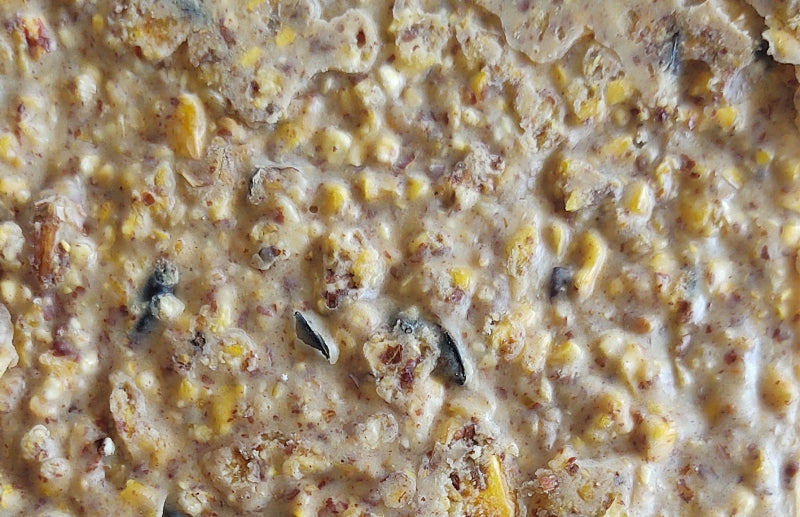 Heath DDC1-12 Sunflower Seed Wild Bird Seed, 11.75 oz, Crafted Suet, Cake Pack