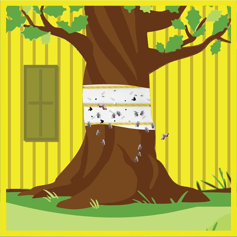 PIC SLF Spotted Lantern Fly Trap, Roll, Wintergreen