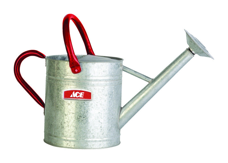 Ace Gray 2 gal Steel Watering Can