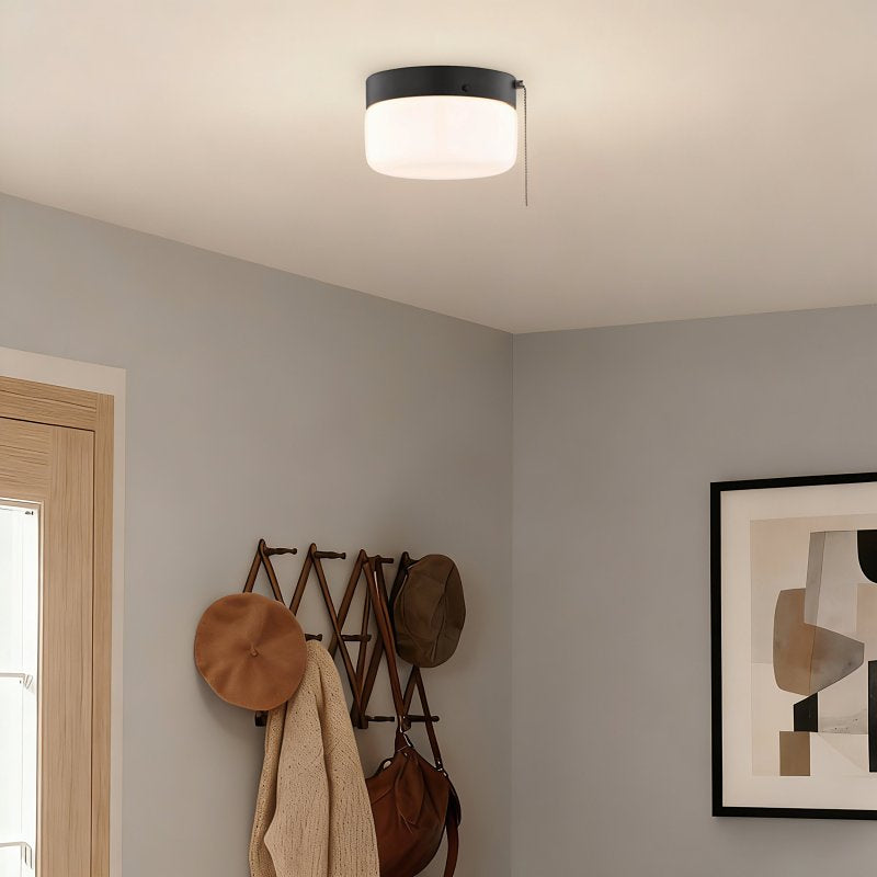 Boston Harbor OG24015 Ceiling Light, 120 V, 2-Lamp, CFL, Incandescent, LED Lamp, Metal Fixture, Matte Black Fixture