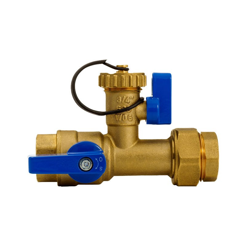 ProLine Series 102-120 Isolation Valve Kit, 3/4 in Connection, FIP, 125 psi Pressure, Brass Body