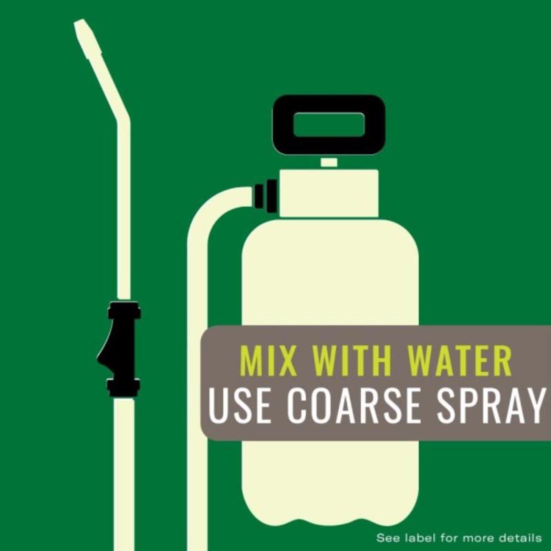 NATRIA Weed and Disease Control Concentrate 24 oz