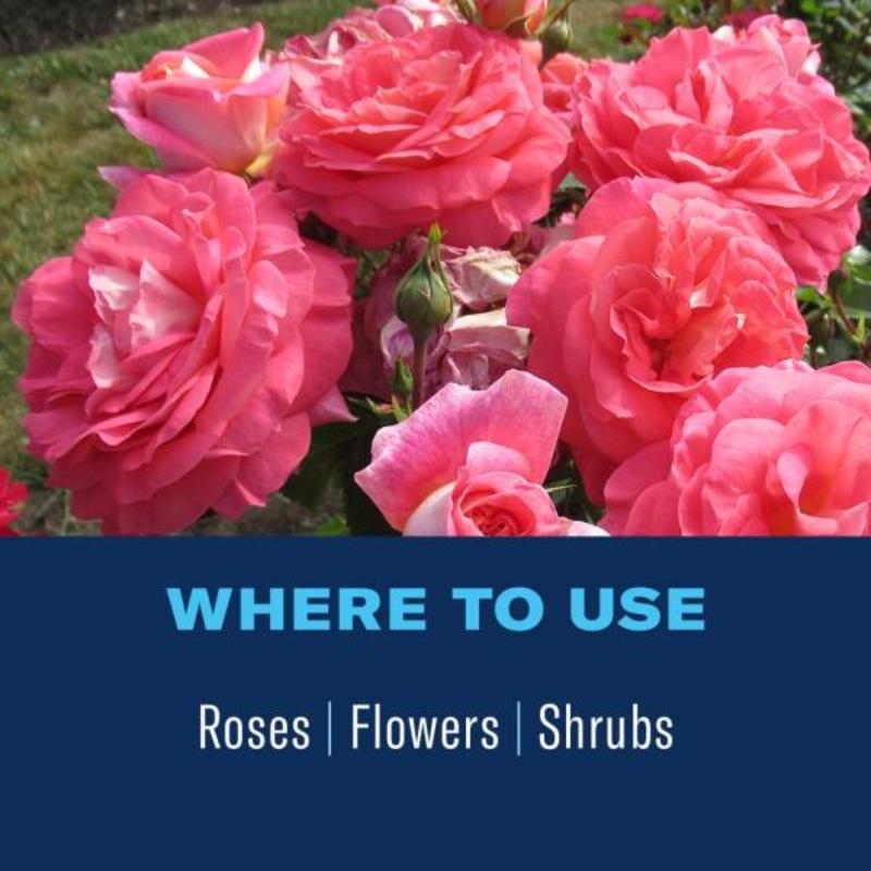 BioAdvanced 2-In-1 Systemic Granules Rose and Flower Plant Food 10 lb