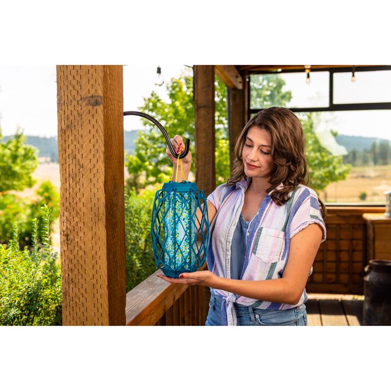 RESCUE TrapStik Fly Trap 1 pk, Pack of 6