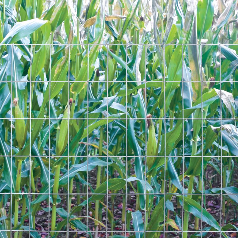 Garden Craft 36 in. H X 100 ft. L Steel Welded Wire Fence Gray