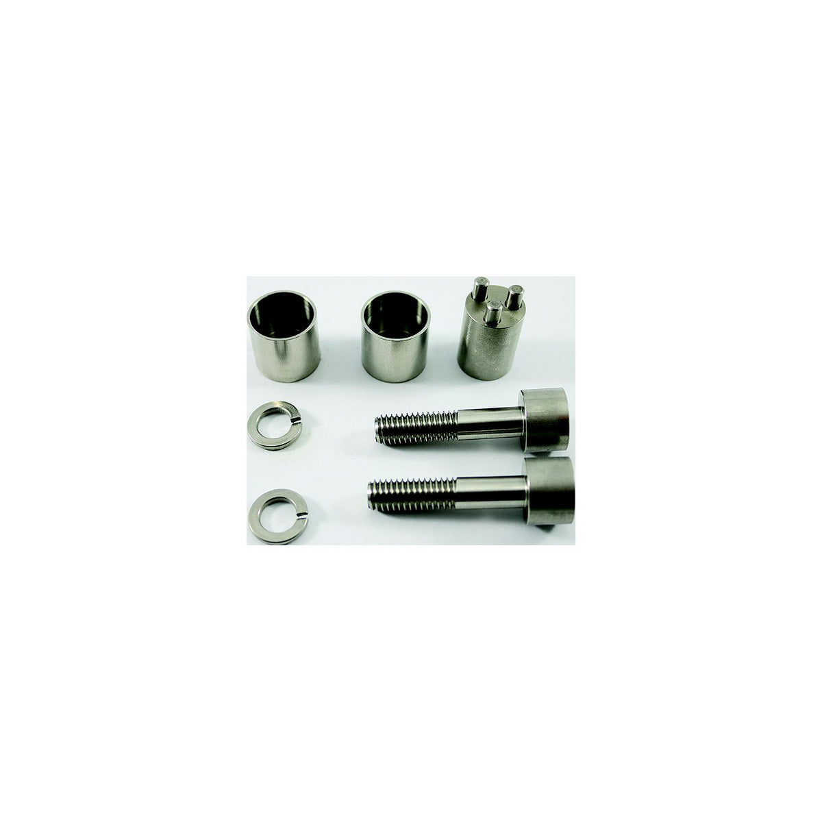 Evinrude Lower Unit Lock, Dual
